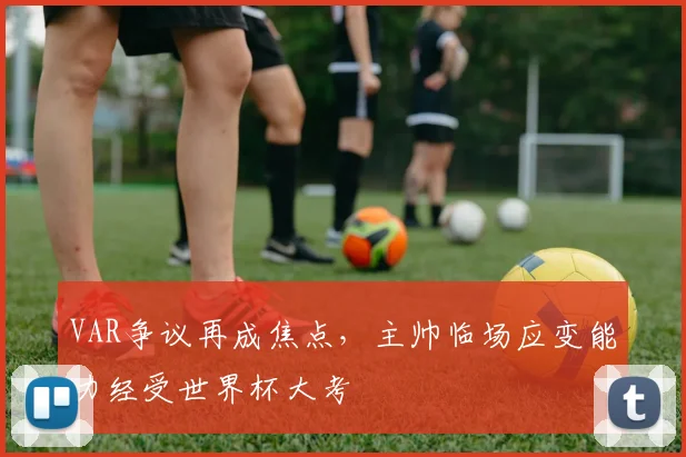 VAR争议再成焦点,主帅临场应变能力经受世界杯大考 - 搜狐体育推荐