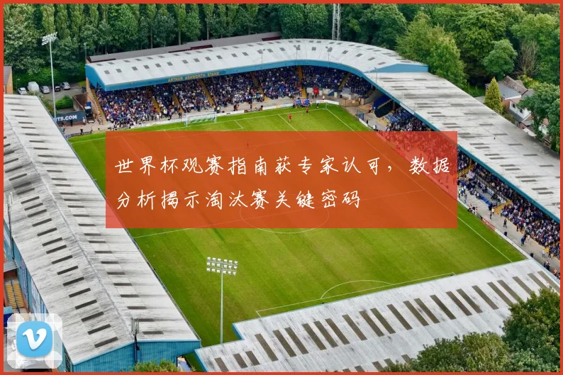 世界杯观赛指南获专家认可,数据分析揭示淘汰赛关键密码 - 搜狐体育推荐