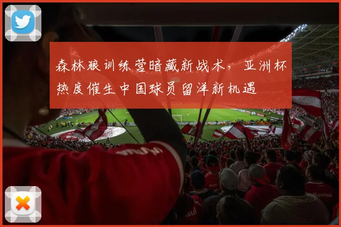 森林狼训练营暗藏新战术，亚洲杯热度催生中国球员留洋新机遇 - 搜狐体育推荐