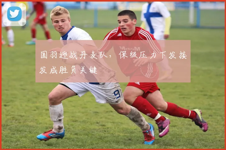 国羽迎战丹麦队，保级压力下发接发成胜负关键 - 搜狐体育资讯