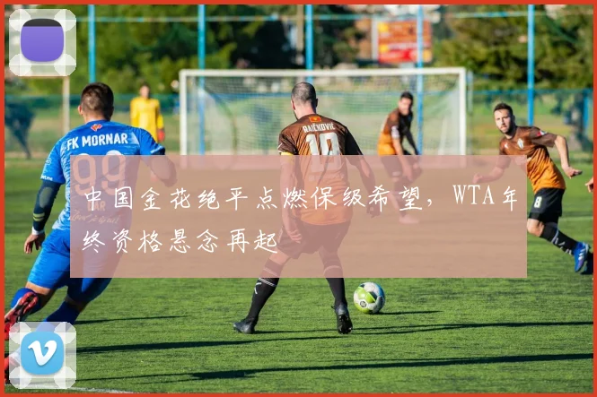 中国金花绝平点燃保级希望,WTA年终资格悬念再起 - 搜狐体育推荐