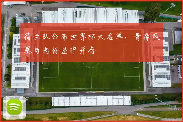 荷兰队公布世界杯大名单,青春风暴与老将坚守并存 - 搜狐体育推荐