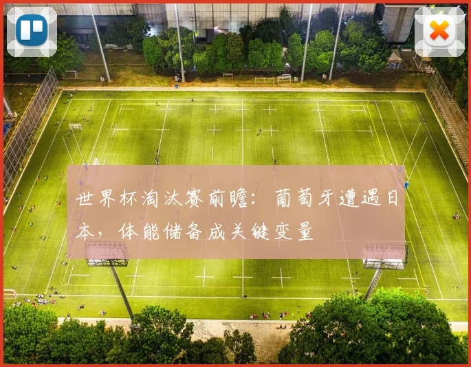 世界杯淘汰赛前瞻:葡萄牙遭遇日本,体能储备成关键变量 - 搜狐体育推荐
