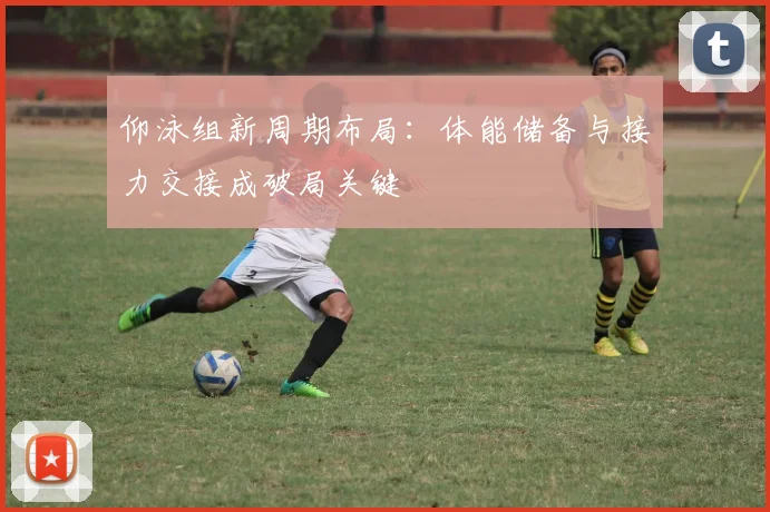 仰泳组新周期布局:体能储备与接力交接成破局关键 - 搜狐体育推荐