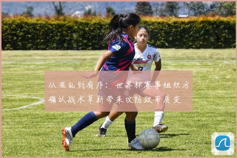 从混乱到有序：世界杯赛事组织方确认战术革新带来攻防效率质变 - 搜狐体育推荐